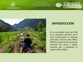 IINTRODUCCIÓN 
En la actualidad cerca del 24% 
de la superficie terrestre ya ha 
sido transformada en sistemas 
cultivados. Entre los años 1960 y 
2000 la producción de alimentos 
aumentó dos veces y media, 
mientras que la población se 
duplicó (MEA, 2005). 
 
