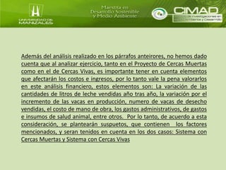 Además del análisis realizado en los párrafos anteirores, no hemos dado 
cuenta que al analizar ejercicio, tanto en el Proyecto de Cercas Muertas 
como en el de Cercas Vivas, es importante tener en cuenta elementos 
que afectarán los costos e ingresos, por lo tanto vale la pena valorarlos 
en este análisis financiero, estos elementos son: La variación de las 
cantidades de litros de leche vendidas año tras año, la variación por el 
incremento de las vacas en producción, numero de vacas de desecho 
vendidas, el costo de mano de obra, los gastos administrativos, de gastos 
e insumos de salud animal, entre otros. Por lo tanto, de acuerdo a esta 
consideración, se plantearán suspuetos, que contienen los factores 
mencionados, y seran tenidos en cuenta en los dos casos: Sistema con 
Cercas Muertas y Sistema con Cercas Vivas 
 