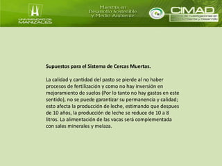 Supuestos para el Sistema de Cercas Muertas. 
La calidad y cantidad del pasto se pierde al no haber 
procesos de fertilización y como no hay inversión en 
mejoramiento de suelos (Por lo tanto no hay gastos en este 
sentido), no se puede garantizar su permanencia y calidad; 
esto afecta la producción de leche, estimando que despues 
de 10 años, la producción de leche se reduce de 10 a 8 
litros. La alimentación de las vacas será complementada 
con sales minerales y melaza. 
 