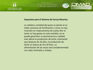 Supuestos para el Sistema de Cercas Muertas. 
La calidad y cantidad del pasto se pierde al no 
haber procesos de fertilización y como no hay 
inversión en mejoramiento de suelos (Por lo 
tanto no hay gastos en este sentido), no se 
puede garantizar su permanencia y calidad; 
esto afecta la producción de leche, estimando 
que despues de 10 años, la producción de 
leche se reduce de 10 a 8 litros. La 
alimentación de las vacas será complementada 
con sales minerales y melaza. 
 