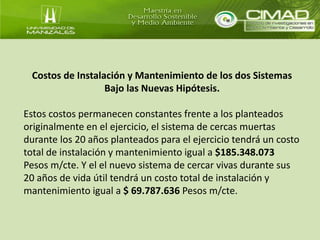 Costos de Instalación y Mantenimiento de los dos Sistemas 
Bajo las Nuevas Hipótesis. 
Estos costos permanecen constantes frente a los planteados 
originalmente en el ejercicio, el sistema de cercas muertas 
durante los 20 años planteados para el ejercicio tendrá un costo 
total de instalación y mantenimiento igual a $185.348.073 
Pesos m/cte. Y el el nuevo sistema de cercar vivas durante sus 
20 años de vida útil tendrá un costo total de instalación y 
mantenimiento igual a $ 69.787.636 Pesos m/cte. 
 
