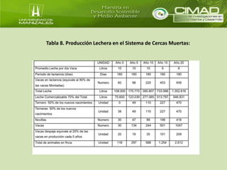 Tabla 8. Producción Lechera en el Sistema de Cercas Muertas: 
 