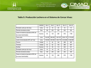 Tabla 9. Producción Lechera en el Sistema de Cercas Vivas: 
 