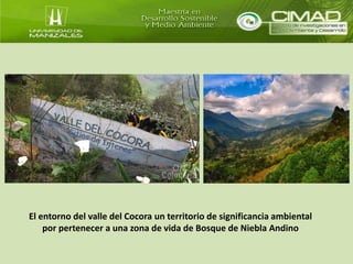 El entorno del valle del Cocora un territorio de significancia ambiental 
por pertenecer a una zona de vida de Bosque de Niebla Andino 
 