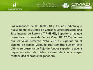Los resultados de las Tablas 10 y 11; nos indican que 
nuevamente el sistema de Cercas Muertas presenta una 
Tasa Interna de Retorno TIR 63,6%, Superior a las que 
presenta el sistema de Cercas Vivas TIR 32,5%, Vemos 
que el Valor Presente Neto VNP es superior en el 
sistema de cercas Vivas, lo cual significa que en este 
último se presenta un flujo de fondos superior y que la 
implementación de dicho sistema dará una mayor 
rentabilidad al productor ganadero. 
 