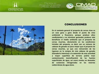 CONCLUSIONES 
En el contexto general el proyecto de cercas vivas es 
un caso gana a gana desde el punto de vista 
ambiental y financiero, porque produce altos 
rendimientos y en términos generales produce más 
beneficios al medio ambiente que el proyecto de 
cercas muertas, obviamente en las condiciones 
iniciales del proyecto, es decir con un número de 
cabezas de ganado un poco mayor que el proyecto de 
cercas muertas, ya que una reinversión de los 
ingresos en la compra de más cabezas de ganado 
(Ganadería intensiva) o la extensión de esta actividad 
a mayor superficie de terreno podría traer 
contaminación (eutrofización) de las fuentes 
superficiales de agua, así como niveles no deseados 
de sustancias nitrogenadas en las reservas 
subterráneas de agua dulce. 
 