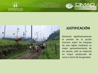JUSTIFICACIÓN 
Disminuir significativamente 
la presión de la acción 
humana sobre los bosques 
de esta región mediante un 
mejor aprovechamiento de 
los pastos, esto se traducirá 
en mayor producción de 
carne y leche de los ganados. 
 