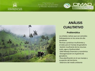 ANÁLISIS 
CUALITATIVO 
Problemática 
Los árboles nativos que son extraídos 
Sobrepastoreo en las zonas de alta 
pendiente 
Técnicas y prácticas insuficientes y 
erradas para el manejo de ganadería 
Gestión insuficiente de los recursos 
suelo, agua y biodiversidad. 
Débil Manejo financiero y económico. 
Desorganización en el gremio de 
ganaderos. 
Poca planificación en el uso manejo y 
ocupación del territorio. 
Deterioro del medio ambiente 
 