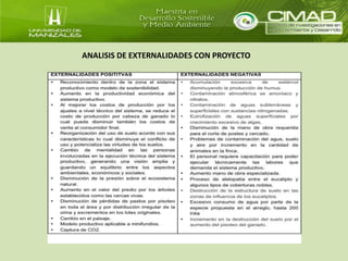 ANALISIS DE EXTERNALIDADES CON PROYECTO 
 