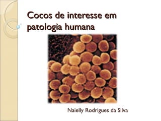 Cocos de interesse em patologia humana Naielly Rodrigues da Silva 