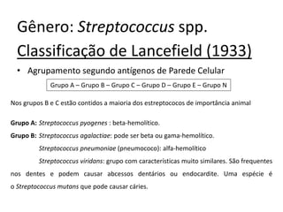 Gênero: Streptococcus spp.
Classificação de Lancefield (1933)
• Agrupamento segundo antígenos de Parede Celular
Grupo A – Grupo B – Grupo C – Grupo D – Grupo E – Grupo N
Nos grupos B e C estão contidos a maioria dos estreptococos de importância animal
Grupo A: Streptococcus pyogenes : beta-hemolítico.
Grupo B: Streptococcus agalactiae: pode ser beta ou gama-hemolítico.
Streptococcus pneumoniae (pneumococo): alfa-hemolítico
Streptococcus viridans: grupo com características muito similares. São frequentes
nos dentes e podem causar abcessos dentários ou endocardite. Uma espécie é
o Streptococcus mutans que pode causar cáries.
 