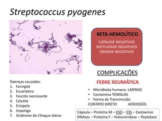 Streptococcus pyogenes
CATALASE NEGATIVOS
MOTILIDADE NEGATIVOS
OXIDASE NEGATIVOS
Doenças causadas:
1. Faringite
2. Escarlatina
3. Fasciite necrosante
4. Celulite
5. Erisipela
6. Impetigo
7. Síndrome do Choque tóxico
• Microbiota humana: LARINGE
• Contamina TONSILAS
• Forma de Transmissão:
CONTATO DIRETO AEROSSÓIS
BETA-HEMOLÍTICO
Cápsula – Proteína M – ESO – ESS – Exotoxinas
DNAses – Proteína F – Hialuronidase – Peptidase
COMPLICAÇÕES
 