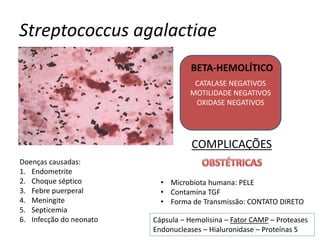 Streptococcus agalactiae
CATALASE NEGATIVOS
MOTILIDADE NEGATIVOS
OXIDASE NEGATIVOS
BETA-HEMOLÍTICO
Doenças causadas:
1. Endometrite
2. Choque séptico
3. Febre puerperal
4. Meningite
5. Septicemia
6. Infecção do neonato
• Microbiota humana: PELE
• Contamina TGF
• Forma de Transmissão: CONTATO DIRETO
Cápsula – Hemolisina – Fator CAMP – Proteases
Endonucleases – Hialuronidase – Proteínas S
COMPLICAÇÕES
 