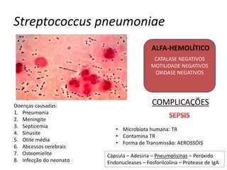 Streptococcus pneumoniae
Doenças causadas:
1. Pneumonia
2. Meningite
3. Septicemia
4. Sinusite
5. Otite média
6. Abcessos cerebrais
7. Osteomielite
8. Infecção do neonato
CATALASE NEGATIVOS
MOTILIDADE NEGATIVOS
OXIDASE NEGATIVOS
ALFA-HEMOLÍTICO
• Microbiota humana: TR
• Contamina TR
• Forma de Transmissão: AEROSSÓIS
Cápsula – Adesina – Pneumolisinas – Peróxido
Endonucleases – Fosforilcolina – Protease de IgA
COMPLICAÇÕES
 