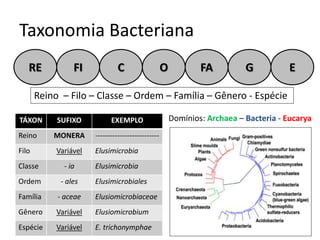 Taxonomia Bacteriana
RE FI C O FA G E
Reino – Filo – Classe – Ordem – Família – Gênero - Espécie
TÁXON SUFIXO EXEMPLO
Reino MONERA --------------------------
Filo Variável Elusimicrobia
Classe - ia Elusimicrobia
Ordem - ales Elusimicrobiales
Família - aceae Elusiomicrobiaceae
Gênero Variável Elusiomicrobium
Espécie Variável E. trichonymphae
Domínios: Archaea – Bacteria - Eucarya
 