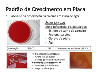 Padrão de Crescimento em Placa
• Baseia-se na observação da colônia em Placa de ágar
ÁGAR SANGUE
Meio Diferencial e Não seletivo
- Extrato de carne de carneiro
- Peptona-caseína
- Cloreto de sódio
- Ágar
Incubação: 5% CO2 72h Temperatura Ambiente (25 °C)
 Colônia de Estafilococos:
- Grandes e Convexas
- Branco-porcelana ao amarelo
Colônia de Estreptococos: 
- Menores e Puntiformes
- Bege ou alaranjado
 