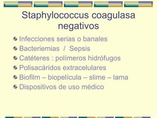 Staphylococcus coagulasa negativos Infecciones serias o banales Bacteriemias  /  Sepsis Catéteres : polímeros hidrófugos Polisacáridos extracelulares Biofilm – biopelícula – slime – lama Dispositivos de uso médico 