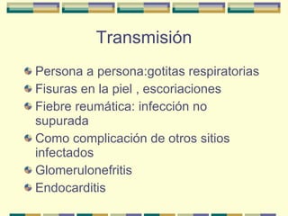 Transmisión Persona a persona:gotitas respiratorias Fisuras en la piel , escoriaciones Fiebre reumática: infección no supurada Como complicación de otros sitios infectados Glomerulonefritis Endocarditis 