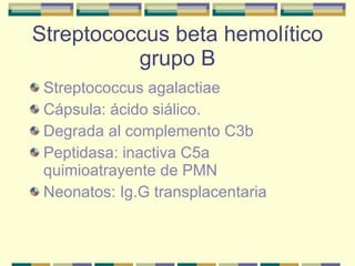 Streptococcus beta hemolítico grupo B Streptococcus agalactiae Cápsula: ácido siálico. Degrada al complemento C3b Peptidasa: inactiva C5a quimioatrayente de PMN Neonatos: Ig.G transplacentaria 