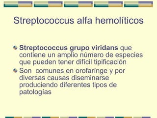 Streptococcus alfa hemolíticos Streptococcus grupo viridans  que contiene un amplio número de especies que pueden tener difícil tipificación Son  comunes en orofarínge y por diversas causas diseminarse produciendo diferentes tipos de patologías 