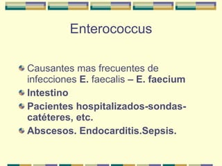 Enterococcus Causantes mas frecuentes de infecciones  E.  faecalis  – E. faecium Intestino Pacientes hospitalizados-sondas- catéteres, etc. Abscesos. Endocarditis.Sepsis. 