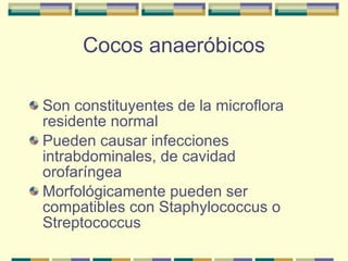 Cocos anaeróbicos Son constituyentes de la microflora residente normal Pueden causar infecciones intrabdominales, de cavidad orofaríngea Morfológicamente pueden ser compatibles con Staphylococcus o Streptococcus 