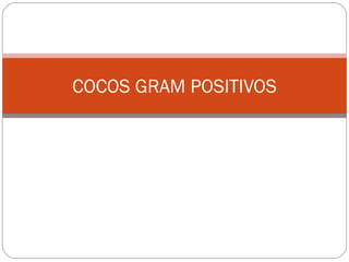 COCOS GRAM POSITIVOS
 