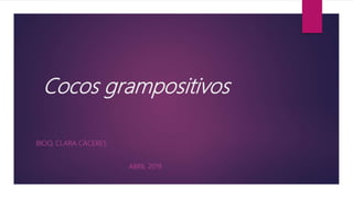 Cocos grampositivos
BIOQ. CLARA CÁCERES
ABRIL 2019
 