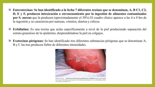 Enterotoxinas: Se han identificado a la fecha 7 diferentes toxinas que se denominan, A, B C1, C2,
D, E y F, producen intoxicación o envenenamiento por la ingestión de alimentos contaminados
por S. aureus que la producen (aproximadamente el 30%) El cuadro clínico aparece a las 4 u 8 hrs de
la ingestión y se caracteriza por naúseas, vómitos, diarrea y cólicos.
Exfoliatina: Es una toxina que actúa específicamente a nivel de la piel produciendo separación del
estrato granuloso de la epidermis, desprendiéndose la piel en colgajos.
Exotoxinas pirógenas: Se han identificado tres diferentes substancias pirógenas que se denominan A,
B y C las tres producen fiebre de diferentes intensidades.
 