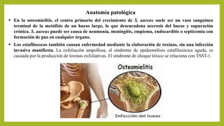  En la osteomielitis, el centro primario del crecimiento de S. aureus suele ser un vaso sanguíneo
terminal de la metáfisis de un hueso largo, lo que desencadena necrosis del hueso y supuración
crónica. S. aureus puede ser causa de neumonía, meningitis, empiema, endocarditis o septicemia con
formación de pus en cualquier órgano.
Anatomía patológica
 Los estafilococos también causan enfermedad mediante la elaboración de toxinas, sin una infección
invasiva manifiesta. La exfoliación ampollosa, el síndrome de epidermólisis estafilocócica aguda, es
causada por la producción de toxinas exfoliativas. El síndrome de choque tóxico se relaciona con TSST-1.
 