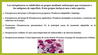 Los estreptococos se subdividen en grupos mediante anticuerpos que reconocen a
los antígenos de superficie. Estos grupos incluyen una o más especies.
 Estreptococos del grupo A (Streptococcus pyogenes): Producen amigdalitis e impétigo.
 Estreptococos del grupo B (Streptococcus agalactiae): Producen meningitis en neonatos y trastornos del
embarazo en la mujer.
 Neumococo (Streptococcus pneumoniae): Es la principal causa de neumonía adquirida en la
comunidad.
 Streptococcus viridans: Es una causa importante de endocarditis y de abscesos dentales.
 Streptococcus mutans: Causa importante de caries dental. Pertenece al grupo de estreptococos viridans.
 