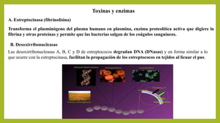 Toxinas y enzimas
A. Estreptocinasa (fibrinolisina)
Transforma el plasminógeno del plasma humano en plasmina, enzima proteolítica activa que digiere la
fibrina y otras proteínas y permite que las bacterias salgan de los coágulos sanguíneos.
B. Desoxirribonucleasas
Las desoxirribonucleasas A, B, C y D de estreptococos degradan DNA (DNasas) y en forma similar a lo
que ocurre con la estreptocinasa, facilitan la propagación de los estreptococos en tejidos al licuar el pus.
 