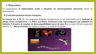 C. Hialuronidasa
En consecuencia, la hialuronidasa ayuda a diseminar los microorganismos infectantes (factor de
diseminación).
D. Exotoxinas pirógenas (toxina eritrógena)
Se conocen tres A, B y C. Las exotoxinas pirógenas estreptocócicas se han relacionado con el síndrome de
choque tóxico estreptocócico y la fiebre escarlatina. Funcionan como superantígenos, que estimulan los
linfocitos T al unirse al complejo de histocompatibilidad mayor de clase II en la región Vβ del receptor del
linfocito T, y liberan citocinas que median el choque y la lesión de los tejidos.
 