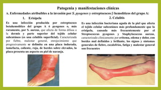 Patogenia y manifestaciones clínicas
A. Enfermedades atribuibles a la invasión por S. pyogenes y estreptococos β hemolíticos del grupo A:
1. Erisipela 2. Celulitis
Es una infección bacteriana aguda de la piel que afecta
el tejido celular subcutáneo más profundamente que la
erisipela, causada más frecuentemente por el
Streptococcus pyogenes y Staphylococcus aureus,
caracterizado clínicamente por eritema, edema y dolor, con
bordes mal definidos y brillante, los signos y síntomas
generales de fiebre, escalofríos, fatiga y malestar general
son frecuentes
Es una infección producida por estreptococo
betahemolítico del grupo A ó pyogenes o, más
raramente, por S. aureus, que afecta de forma difusa a
la dermis y parte superior del tejido celular
subcutáneo (es una celulitis superficial). Caracterizada
por fiebre, malestar general, enrojecimiento que
progresivamente se delimita en una placa indurada,
tumefacta, caliente, roja, de bordes sobre elevados, la
placa presenta un aspecto en piel de naranja.
 