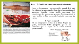 3. Fascitis necrosante (gangrena estreptocócica)
Surge en forma extensa y con gran rapidez necrosis de la piel,
los tejidos y las aponeurosis. Otras bacterias, además de S.
pyogenes, también causan fascitis necrosante. Los
estreptococos del grupo A que producen fascitis necrosante a
veces también se han denominado bacterias comedoras de
carne.
4. Fiebre puerperal
Si los estreptococos entran en el útero después del
parto, sobreviene fiebre puerperal, que es una
septicemia que se origina en la herida infectada
(endometritis).
 