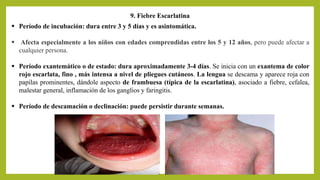9. Fiebre Escarlatina
 Período de incubación: dura entre 3 y 5 días y es asintomática.
 Afecta especialmente a los niños con edades comprendidas entre los 5 y 12 años, pero puede afectar a
cualquier persona.
 Período exantemático o de estado: dura aproximadamente 3-4 días. Se inicia con un exantema de color
rojo escarlata, fino , más intensa a nivel de pliegues cutáneos. La lengua se descama y aparece roja con
papilas prominentes, dándole aspecto de frambuesa (típica de la escarlatina), asociado a fiebre, cefalea,
malestar general, inflamación de los ganglios y faringitis.
 Período de descamación o declinación: puede persistir durante semanas.
 
