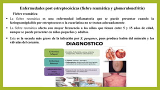 Enfermedades post estreptocócicas (fiebre reumática y glomerulonefritis)
Fiebre reumática
 La fiebre reumática es una enfermedad inflamatoria que se puede presentar cuando la
faringoamigdalitis por estreptococos o la escarlatina no se tratan adecuadamente.
 La fiebre reumática afecta con mayor frecuencia a los niños que tienen entre 5 y 15 años de edad,
aunque se puede presentar en niños pequeños y adultos.
 Esta es la secuela más grave de la infección por S. pyogenes, pues produce lesión del músculo y las
válvulas del corazón.
 