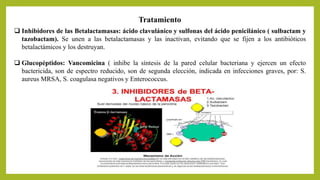 Tratamiento
 Inhibidores de las Betalactamasas: ácido clavulánico y sulfonas del ácido penicilánico ( sulbactam y
tazobactam). Se unen a las betalactamasas y las inactivan, evitando que se fijen a los antibióticos
betalactámicos y los destruyan.
 Glucopéptidos: Vancomicina ( inhibe la síntesis de la pared celular bacteriana y ejercen un efecto
bactericida, son de espectro reducido, son de segunda elección, indicada en infecciones graves, por: S.
aureus MRSA, S. coagulasa negativos y Enterococcus.
 