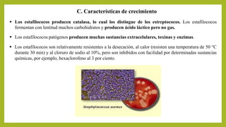 C. Características de crecimiento
 Los estafilococos patógenos producen muchas sustancias extracelulares, toxinas y enzimas.
 Los estafilococos son relativamente resistentes a la desecación, al calor (resisten una temperatura de 50 °C
durante 30 min) y al cloruro de sodio al 10%, pero son inhibidos con facilidad por determinadas sustancias
químicas, por ejemplo, hexaclorofeno al 3 por ciento.
 Los estafilococos producen catalasa, lo cual los distingue de los estreptococos. Los estafilococos
fermentan con lentitud muchos carbohidratos y producen ácido láctico pero no gas.
 
