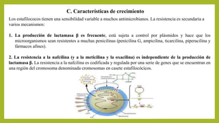 Los estafilococos tienen una sensibilidad variable a muchos antimicrobianos. La resistencia es secundaria a
varios mecanismos:
1. La producción de lactamasa β es frecuente, está sujeta a control por plásmidos y hace que los
microorganismos sean resistentes a muchas penicilinas (penicilina G, ampicilina, ticarcilina, piperacilina y
fármacos afines).
2. La resistencia a la nafcilina (y a la meticilina y la oxacilina) es independiente de la producción de
lactamasa β. La resistencia a la nafcilina es codificada y regulada por una serie de genes que se encuentran en
una región del cromosoma denominada cromosomas en casete estafilocócicos.
C. Características de crecimiento
 