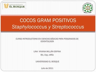 COCOS GRAM POSITIVOS
Staphylococcus y Streptococcus

 CURSO INTRODUCTORIO EN CIENCIAS BÁSICAS PARA POSGRADOS DE
                       ODONTOLOGÍA



                 LINA VIVIANA MILLÁN OSPINA
                       Blc, Esp, cMSc


                   UNIVERSIDAD EL BOSQUE


                        Julio de 2011
 