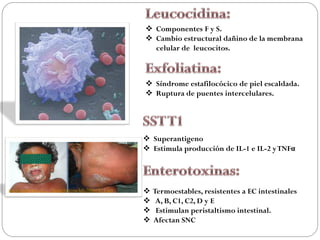  Componentes F y S.
                                                    Cambio estructural dañino de la membrana
                                                     celular de leucocitos.



                                                    Síndrome estafilocócico de piel escaldada.
                                                    Ruptura de puentes intercelulares.




                                                    Superantigeno
                                                    Estimula producción de IL-1 e IL-2 y TNFα




www.medwave.cl/.../hospclinicouchile2006/8/1.act      Termoestables, resistentes a EC intestinales
                                                       A, B, C1, C2, D y E
                                                       Estimulan peristaltismo intestinal.
                                                      Afectan SNC
 