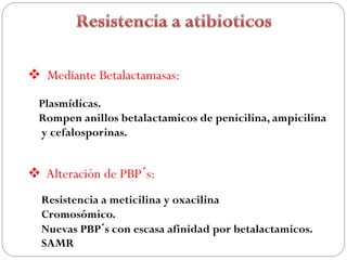  Mediante Betalactamasas:
 Plasmídicas.
 Rompen anillos betalactamicos de penicilina, ampicilina
 y cefalosporinas.


 Alteración de PBP´s:
  Resistencia a meticilina y oxacilina
  Cromosómico.
  Nuevas PBP´s con escasa afinidad por betalactamicos.
  SAMR
 