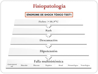 SÍNDROME DE SHOCK TÓXICO TSST1
 