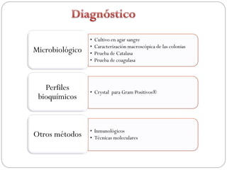 •   Cultivo en agar sangre
                 •   Caracterización macroscópica de las colonias
Microbiológico   •   Prueba de Catalasa
                 •   Prueba de coagulasa



   Perfiles      • Crystal para Gram Positivos®
 bioquímicos


                 • Inmunológicos
Otros métodos    • Técnicas moleculares
 