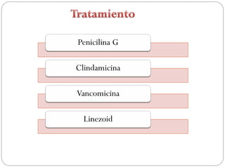 Penicilina G

Clindamicina

Vancomicina

  Linezoid
 