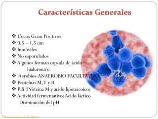  Cocos Gram Positivos
           0,5 – 1,5 um
           Inmóviles
           No esporulados
           Algunos forman capsula de ácido
                  hialuronico.
           Aerobios-ANAEROBIO FACULTATIVO
           Proteínas M, T y R
           Pili (Proteína M y ácido lipoteicoico)
           Actividad fermentativo: Acido láctico
             Disminución del pH

medicineworld.org/.../April-9-2008.html
 