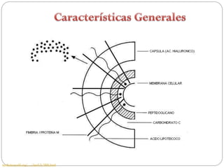 medicineworld.org/.../April-9-2008.html
 