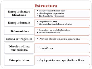 • Estreptococos B hemolíticos
 Estreptocinasa o     • Plasminogeno en plasmina
    fibrolisina       • Tto de embolia y trombosis

                      • Despolimeriza ADN
 Estreptodornasa      • Viscosidad en exudados purulentos

                      • Despolimeriza acido hialuronico.
  Hialuronidasa       • Favorece diseminación

Toxina eritrogénica   • Provoca el exantema en la escarlatina


 Disosfopiridina      • Leucotóxica
  nucleotidasa


  Estreptolisinas     • O:y S: proteína con capacidad hemolítica
 