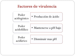 Poder
acidogénico
            • Producción de ácido

   Poder
acidofiílico
               • Mantenerse a pH bajo

   Poder
 acidúrico
               • Disminuir mas pH
 